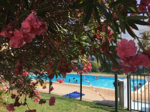 Lesjardinsfleuris Apartment Mandelieu La Napoule Ngoại thất bức ảnh
